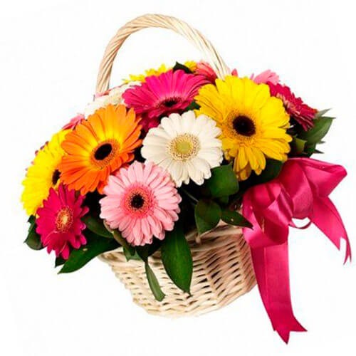 11 Гербер в корзине "Яркое солнце"